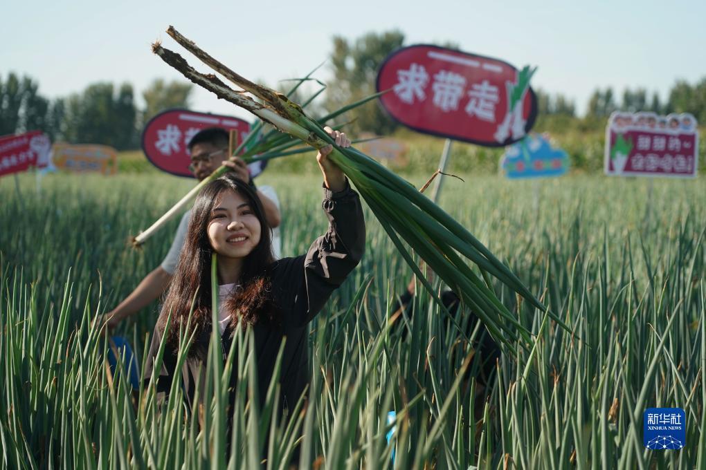 巴黎人赌网